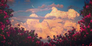 best digital marketer in kasaragod